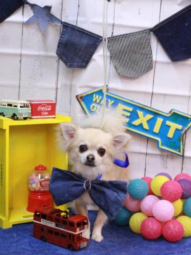 20230415とわくん